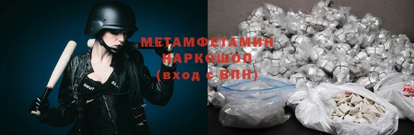 прущие грибы Белокуриха
