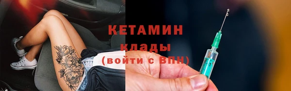 прущие грибы Белокуриха