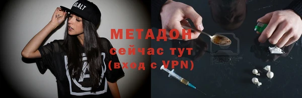 прущие грибы Белокуриха