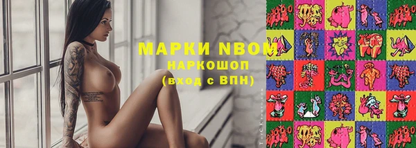 прущие грибы Белокуриха