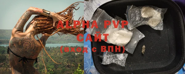 прущие грибы Белокуриха