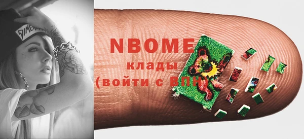 прущие грибы Белокуриха