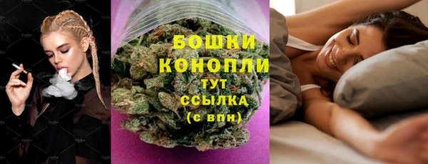 прущие грибы Белокуриха