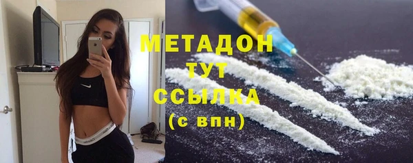 прущие грибы Белокуриха